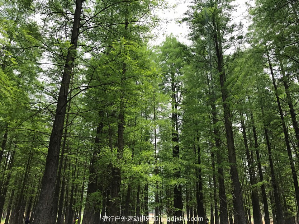 微信图片_20170507193034