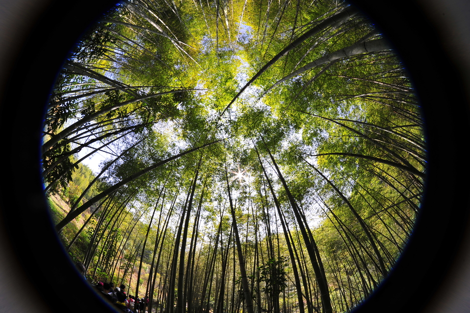 微信图片_20180102162218