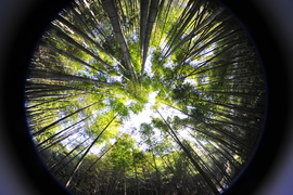 微信图片_20180102162411