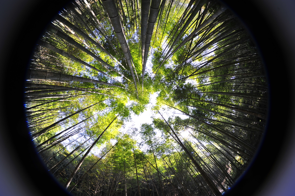 微信图片_20180102162411