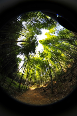 微信图片_20180102162521