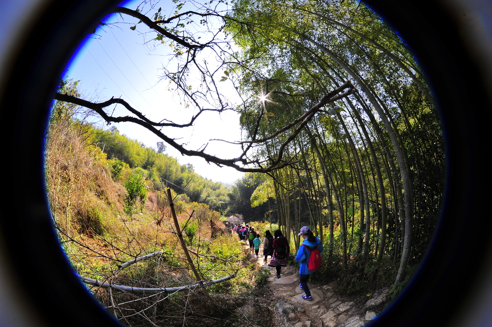 微信图片_20180102164018