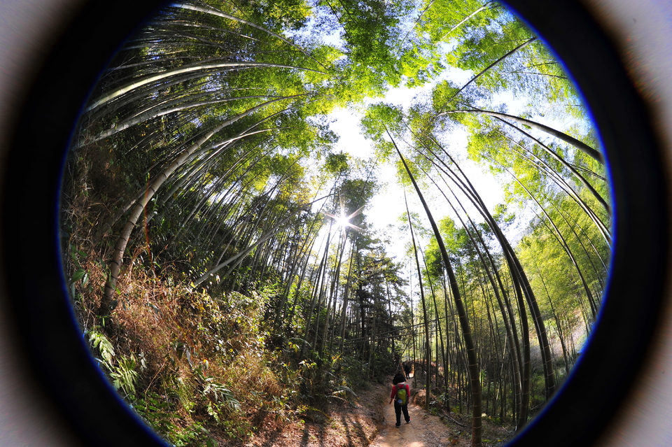 微信图片_20180102164034