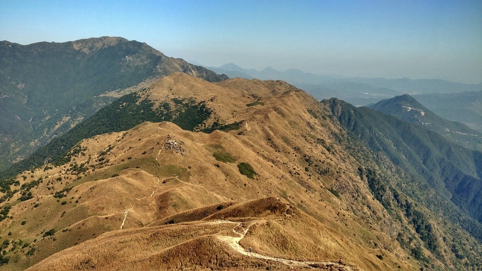 C96B012D-495A-42CF-8CD7-DE2789BC767B