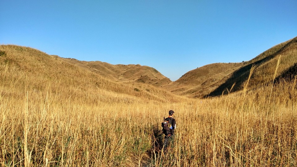 FE63A829-E6BE-4F3A-A1CA-314FE85964AA