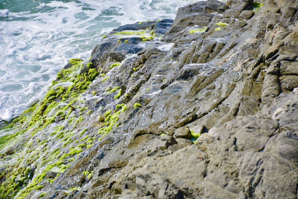 E08F87C5-E821-4A0F-BD5C-C1F3792326CF