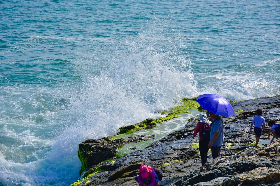 AE121E0F-CAB8-4F3C-9B7B-8D86FA24AEA0