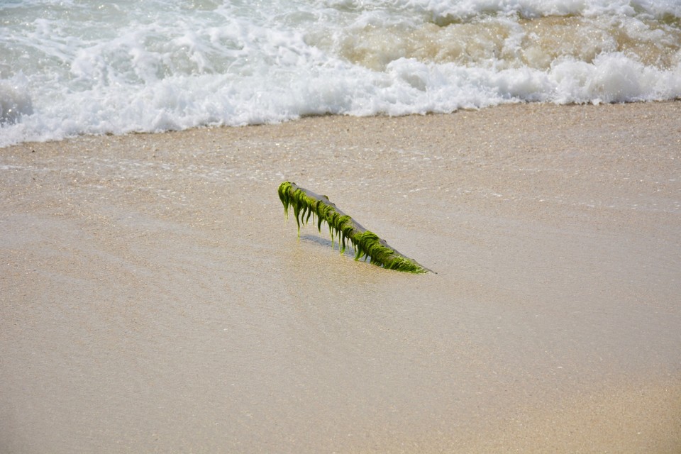 15161337-72C1-471B-ABF2-56FB35DB42F2