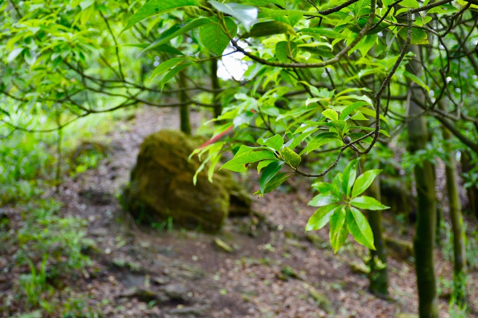 8387FF6A-52CC-4EA9-BD90-D7D317EF0D78