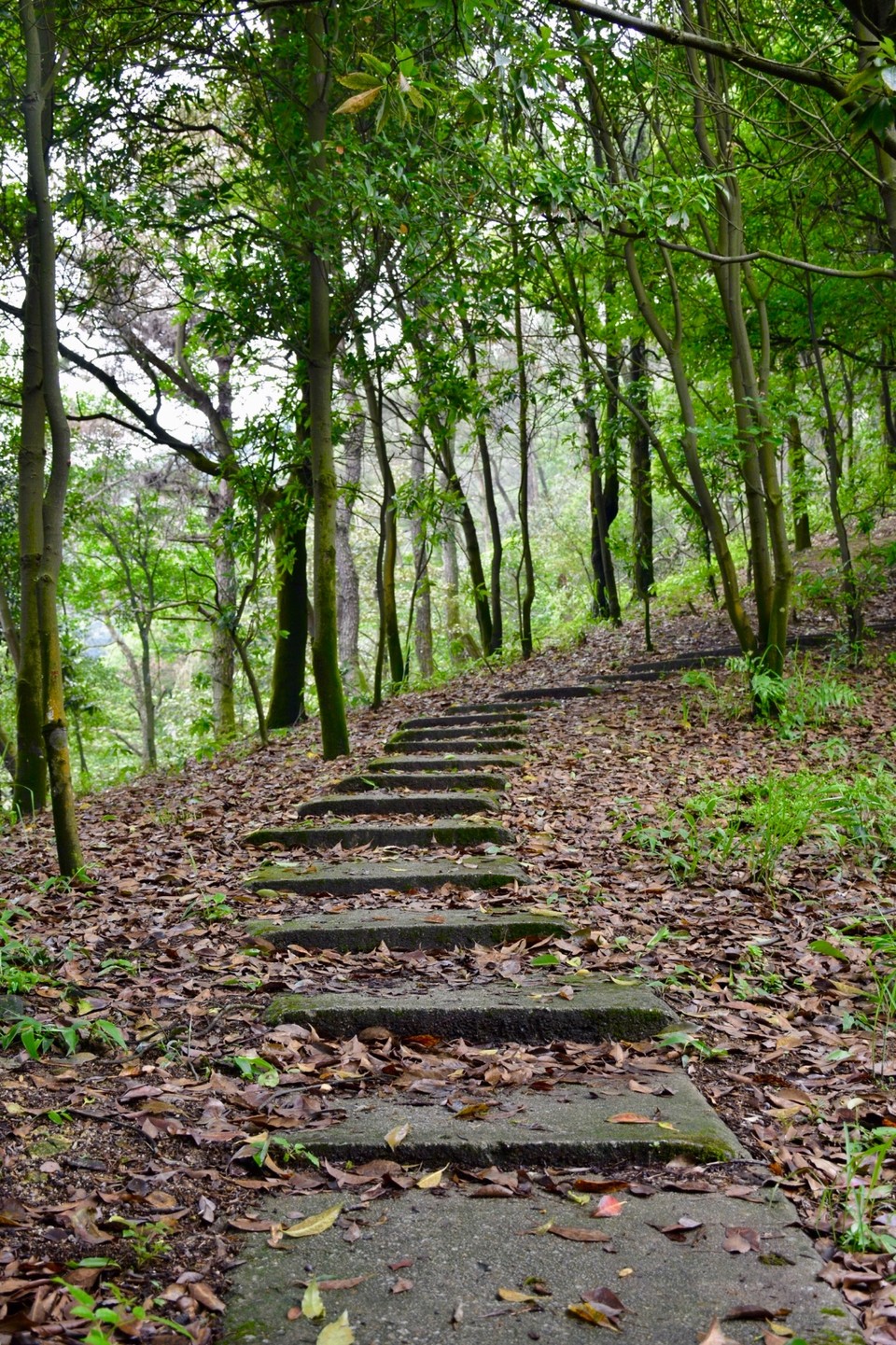 85351E99-9F84-42C4-A6D8-C7CEEE2B22AB