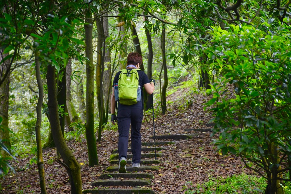 88FD1E99-44FF-456C-99F0-E18C04C60D5A