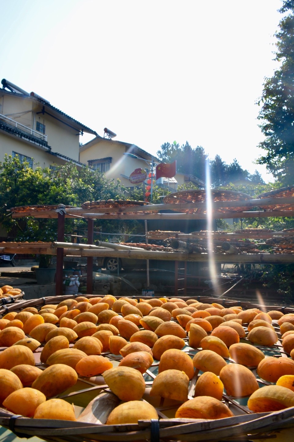 5AF3870B-217C-4486-875C-15D97A961E96