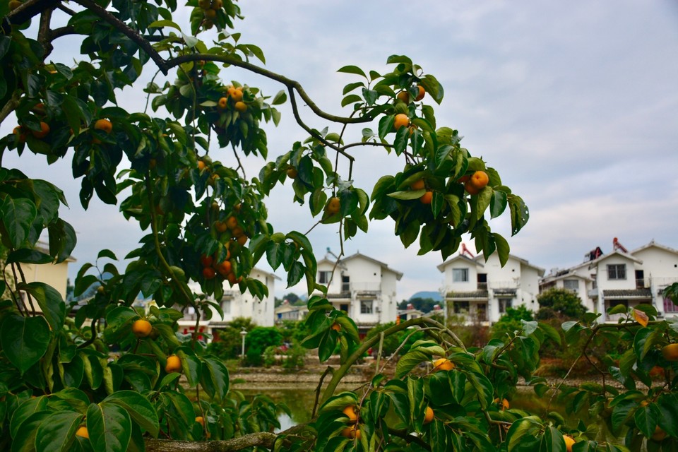 D42CA6A8-803C-46D1-95D4-C76052871658