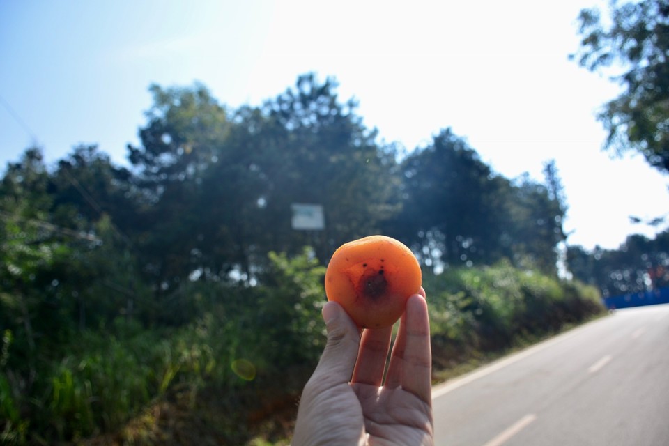 F8521B05-E6BE-438E-9284-98107014119E