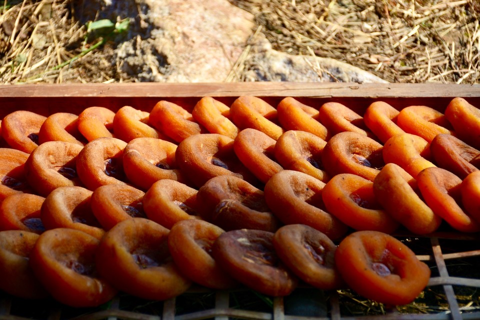 37E4A79A-6E15-44B6-9133-26CCDAF068C7