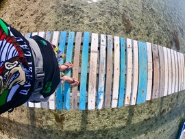 E2F0817D-9906-4D09-BB76-0F4E1B44A337