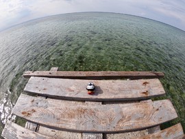 8B77EE93-4B83-435D-BF58-F66E3D2A7468