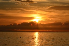 2F202E66-5179-482E-B9B1-C0738943B8E4