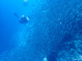 115785ED-122F-43DA-9B72-C511148AFD3B