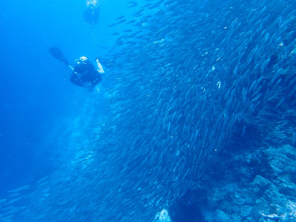 115785ED-122F-43DA-9B72-C511148AFD3B