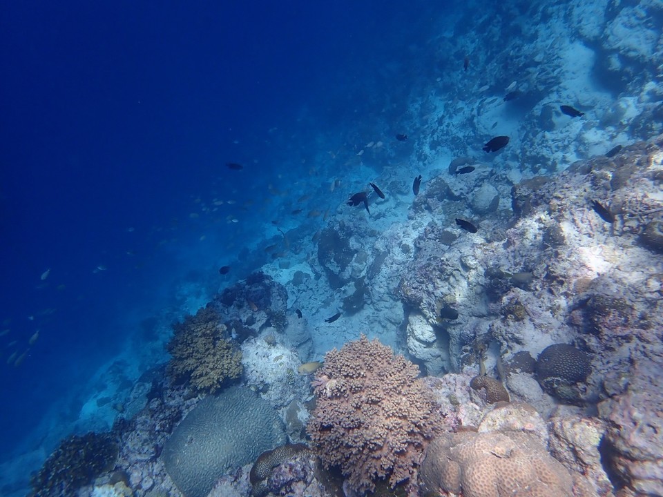 9E7FC29A-1CA0-4D60-87FC-B7718E07564C