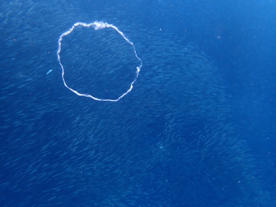 87A90B23-9FB7-4265-95D6-0C71F5804F69