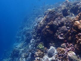 45BA76F1-E44E-4C5A-9C90-C7FE279638E4