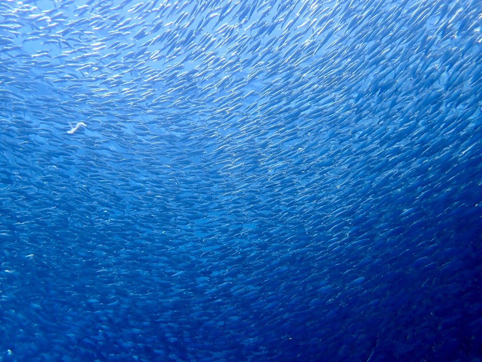 C92406C8-4D75-4C29-B444-1F162085A523