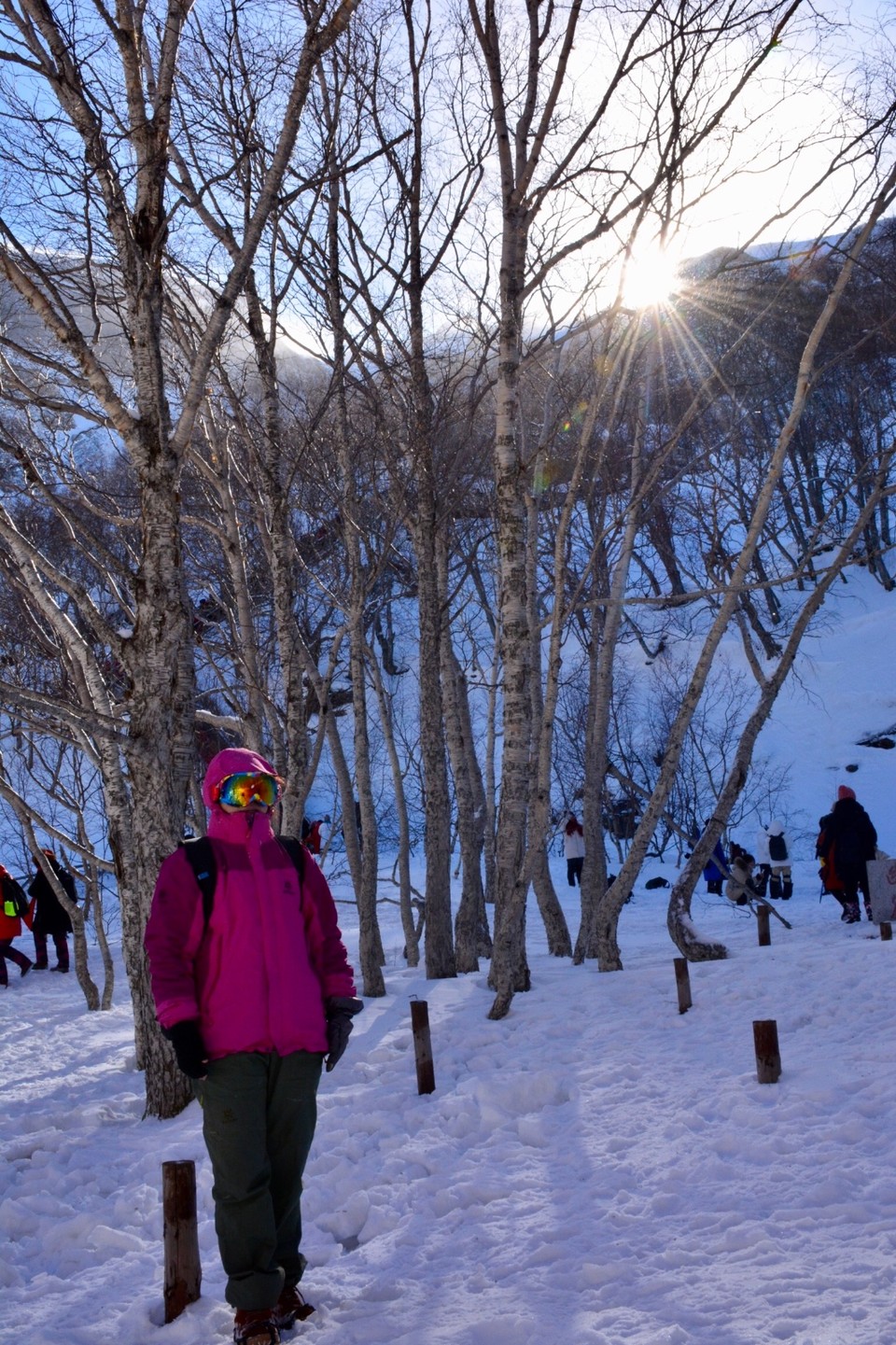 9E9D3D19-AEA5-43B7-A129-25823E8587CA