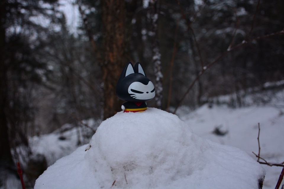 E6815843-FECC-406D-99A7-7FBAA9023116