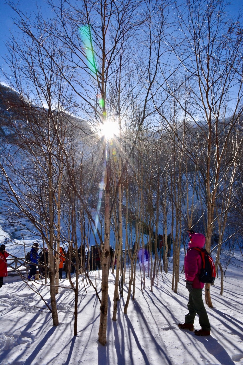 CD32ED33-7F5F-4ADA-883A-D087E8028573