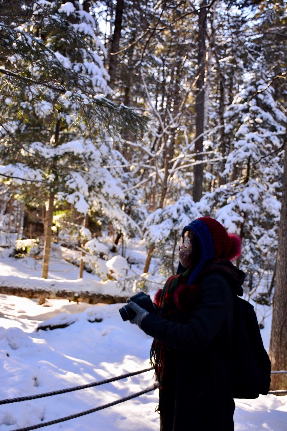 3E8CE3DD-F93B-485F-AB0E-9D136A83CC11