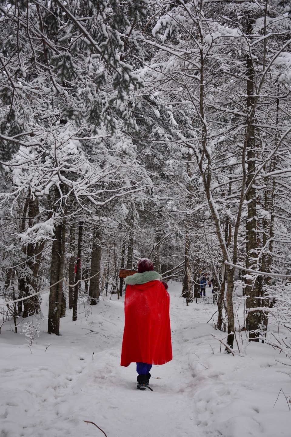 17428772-4A20-4CF4-9BB9-C796301CE581