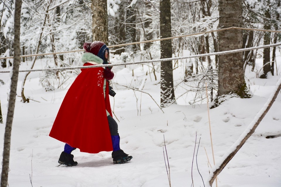 37E46512-AD42-4142-BAD5-B60D9BB4F979