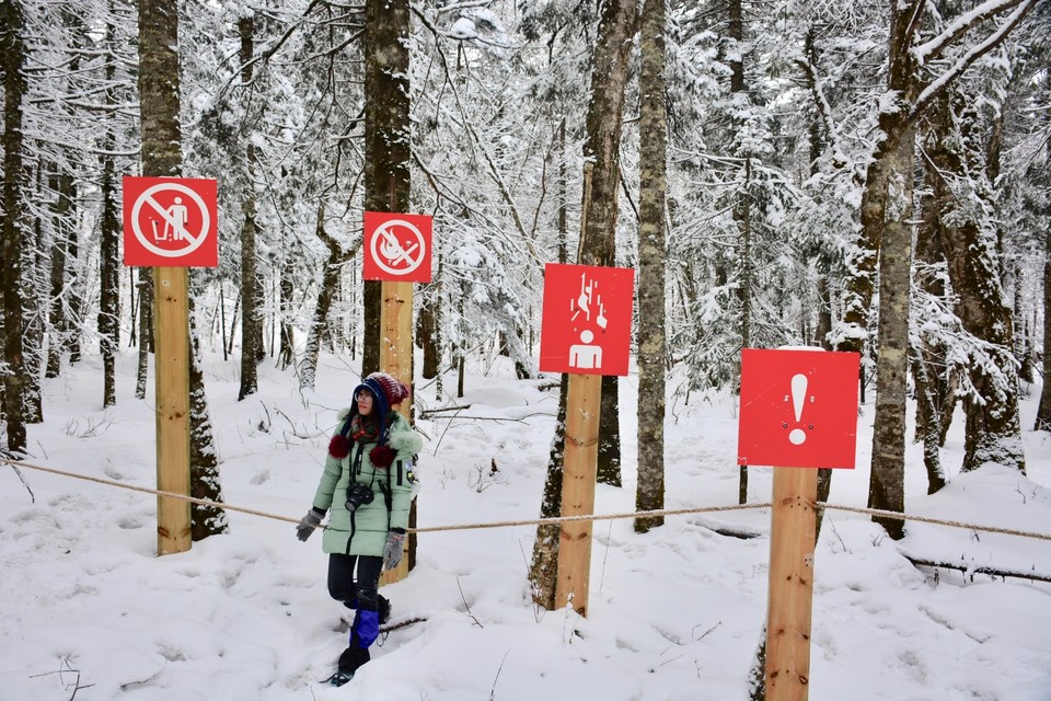 F0F73ED8-9657-4416-A91E-3E7A546E4B7E