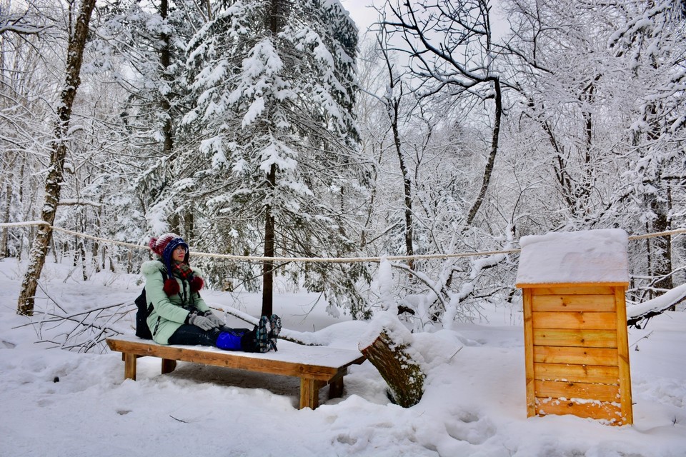 90513444-3AF6-448B-858A-1976EDADC43B