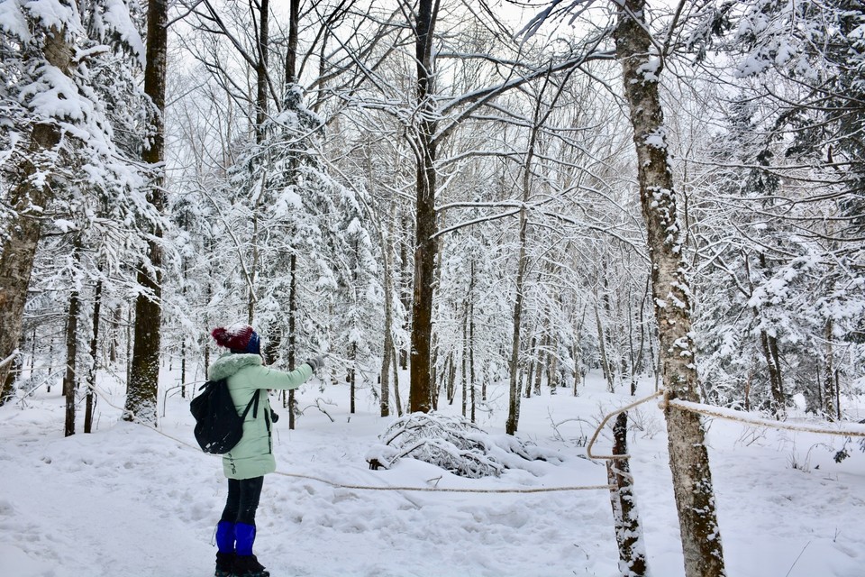 B603A122-064D-4999-92F8-FB16969637BA