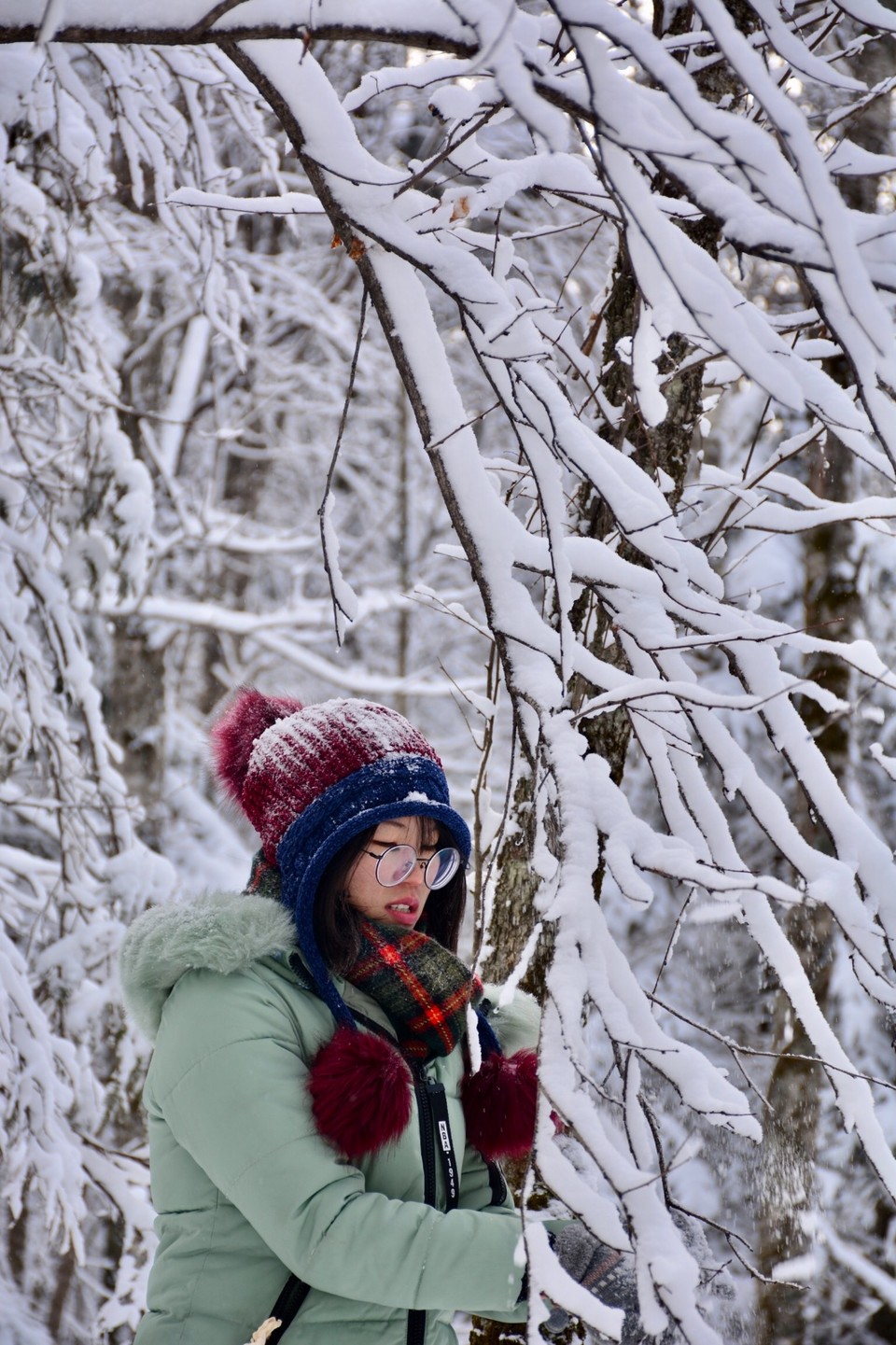 7D21B5CC-BA09-4BF9-9A66-52EA7A19607D