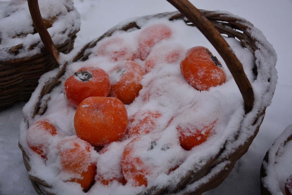 6FBB25BC-C305-4C16-A042-493EC67559EE