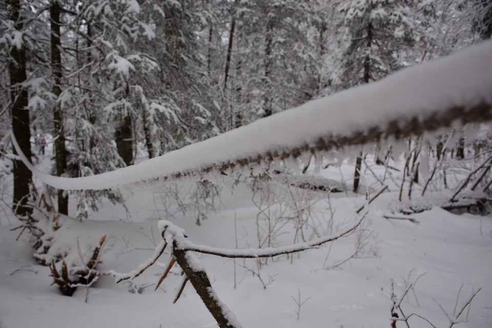 BBAEA437-53B8-49A1-892E-61912FF5ACF0