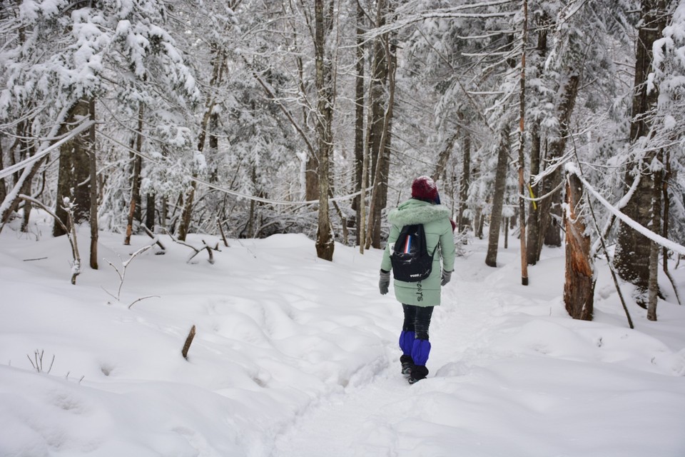 86199371-0040-498C-BCA6-D67CE00D5DE3