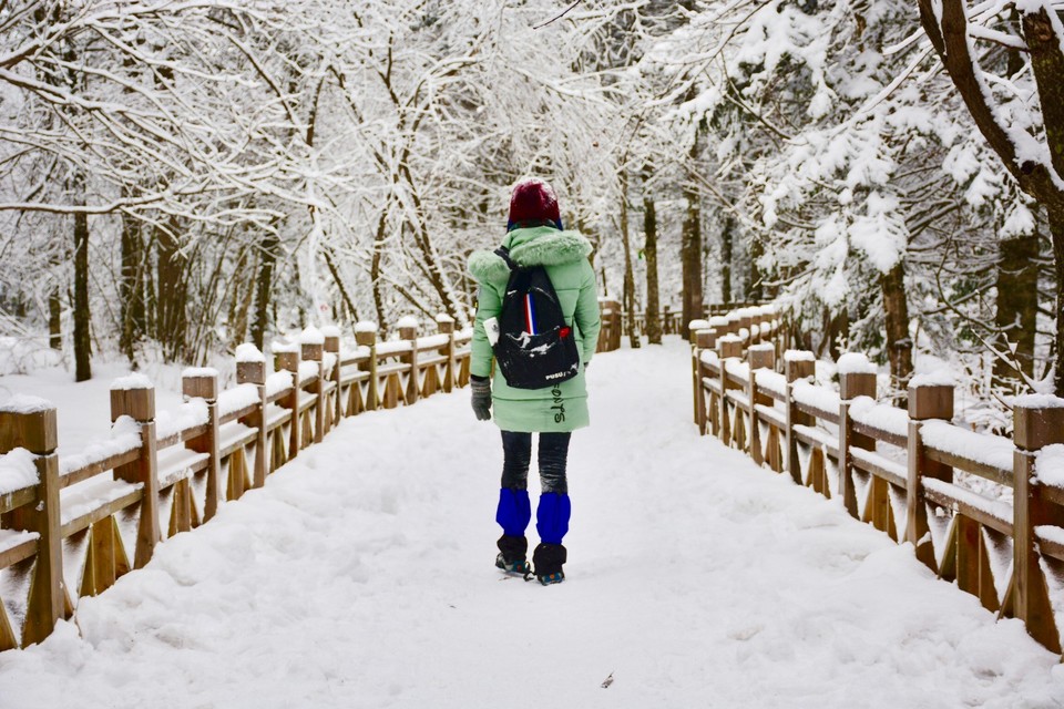 D4586240-D7D9-4C1B-ADB2-DB7FA9F411D5