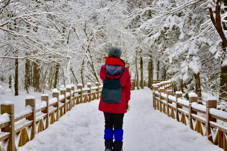 35666C12-7BEF-4CF7-8439-FF7F36CE1126