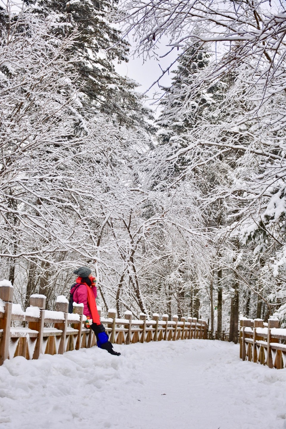 7435ECB3-5F1C-442F-8AAB-31B85D02F032