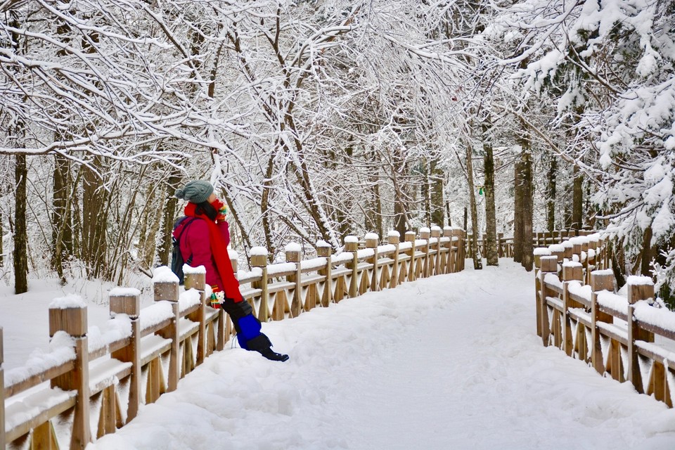 14776A1D-126D-491B-98F4-5CD086DF305B