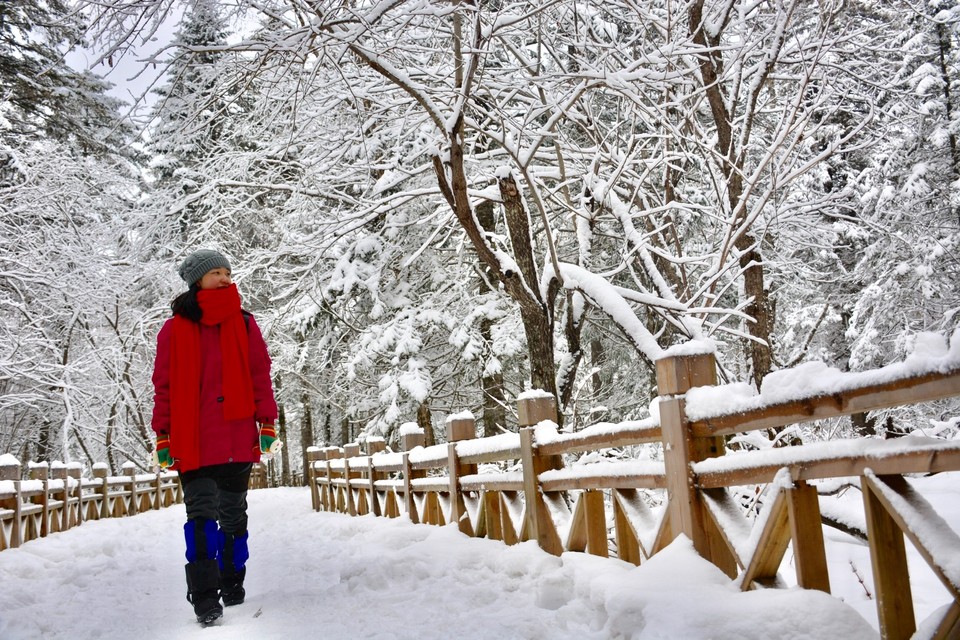 AAF33A6A-EA81-4C4F-92BC-7EE05DBF9C54