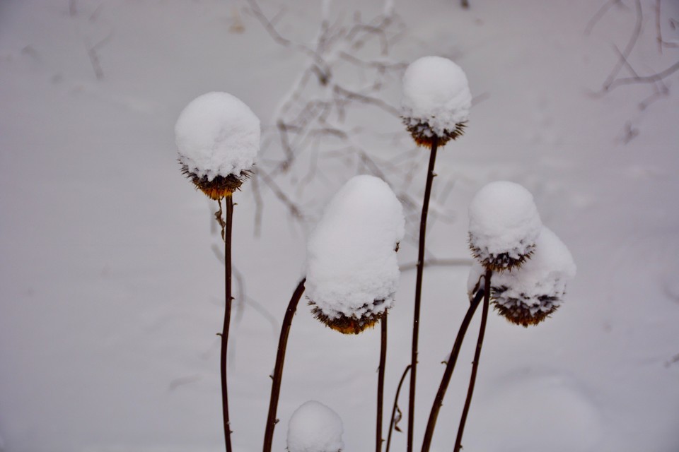 0AB8CFA2-BEDB-4EC6-88B6-E21DFAF029AA