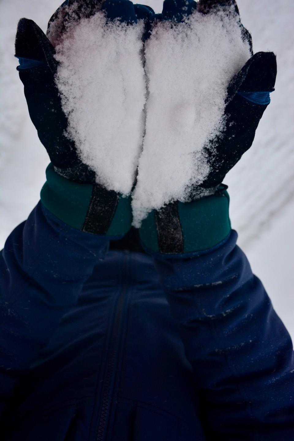 D34D0751-DFC0-461E-B27F-121B77BF1BCF