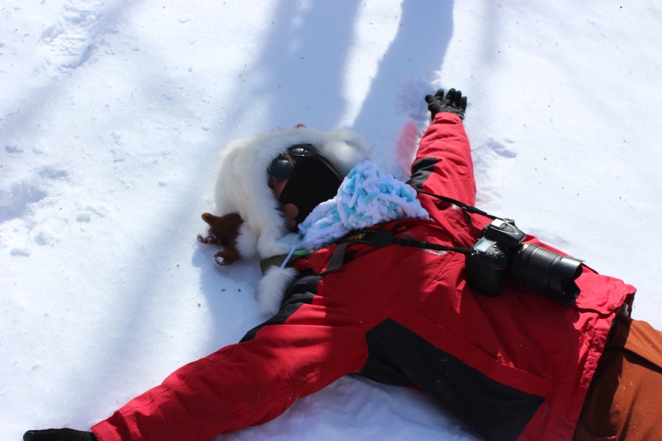 7833339C-C23C-43E2-B9B2-BFD242CB3E7A