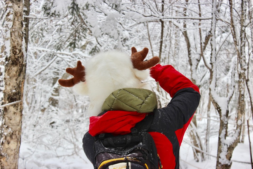 CD71D60C-CD7A-4849-B33B-A1452A9C822B